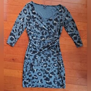 Ann Taylor Leopard Dress